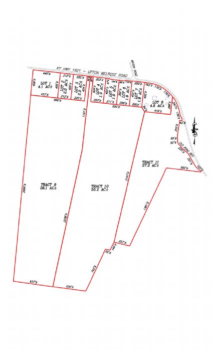 Lewis Auction